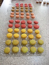 Macarons Ladurée ラデュレのマカロン_c0097611_1243527.jpg