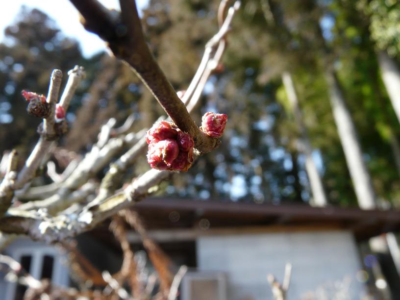 雪が降り始めたような(>_<)_c0086014_2251447.jpg