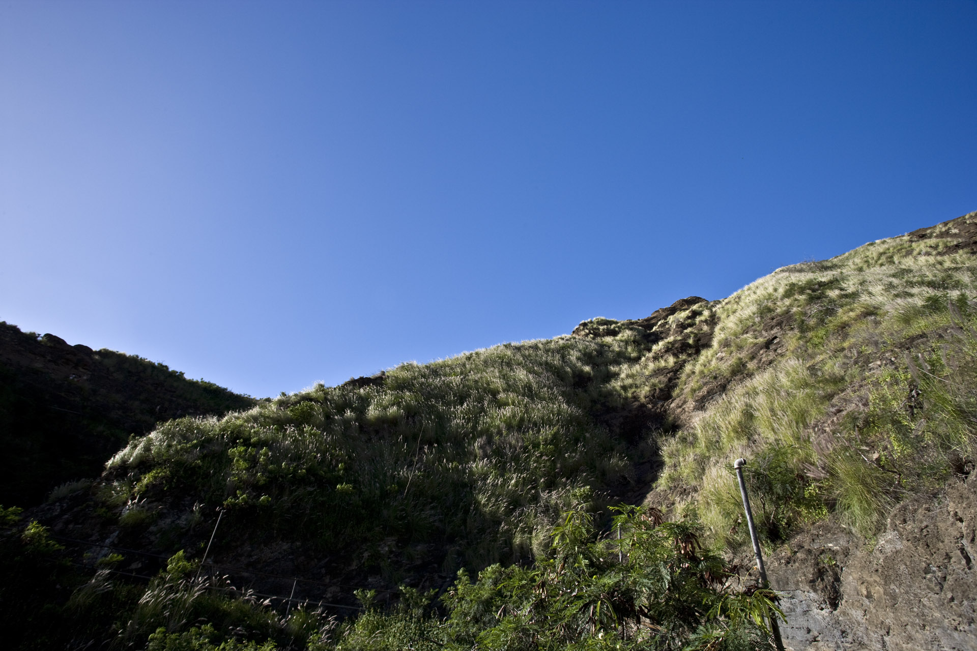d0073620_02153.jpg