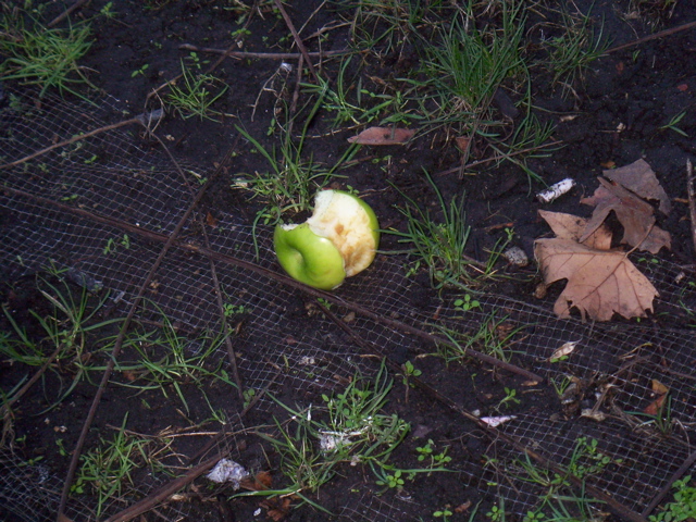 1月30日（水）　世界遺産巡り♪_f0045433_07474.jpg