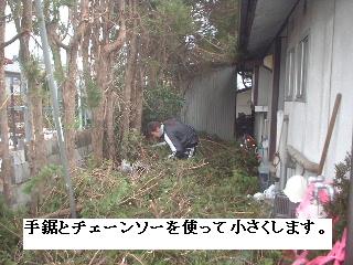巨木との格闘_f0031037_20101089.jpg