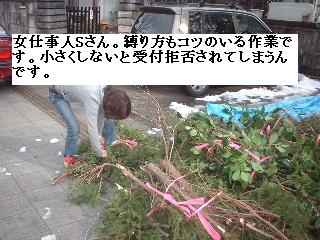 巨木との格闘_f0031037_2094647.jpg