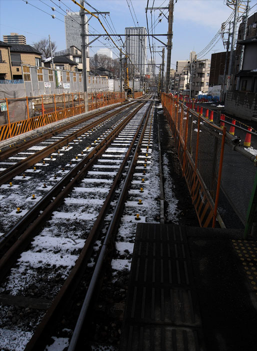 少しだけ雪化粧の新江戸川公園_f0062737_21411367.jpg