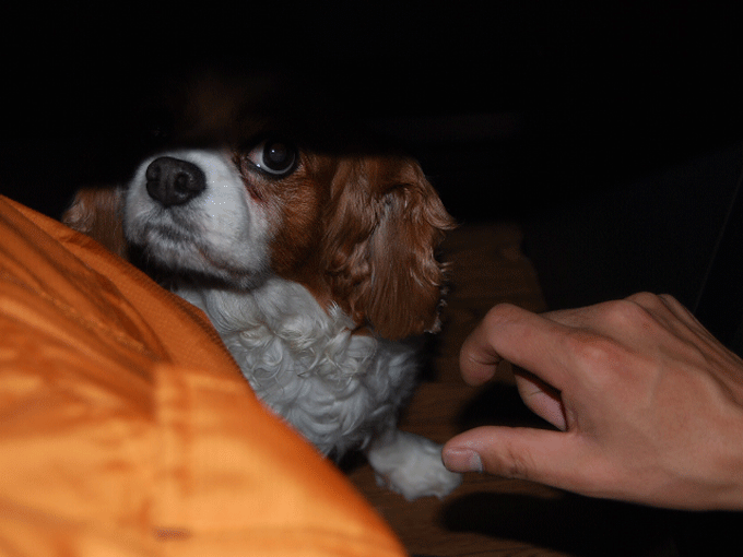 c0136838_2374468.gif