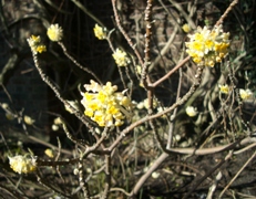 c0138438_61582.jpg