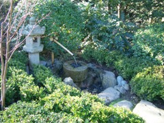 c0138438_624128.jpg