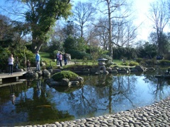 c0138438_635942.jpg