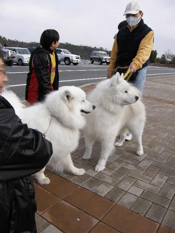 牡蠣オフ2008 その2_f0128542_3274461.jpg