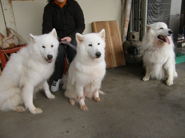 牡蠣オフ2008 その2_f0128542_3285463.jpg