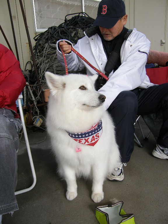 牡蠣オフ2008 その2_f0128542_3331545.jpg