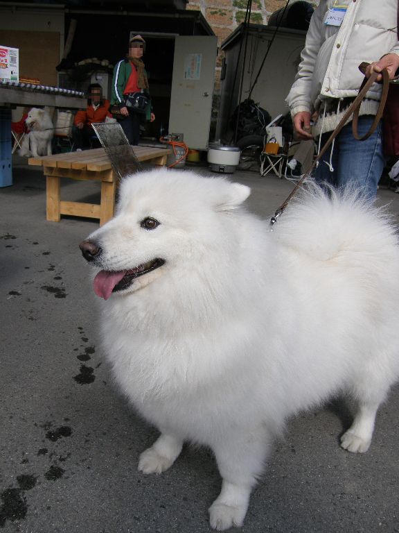 牡蠣オフ2008 その2_f0128542_3353046.jpg