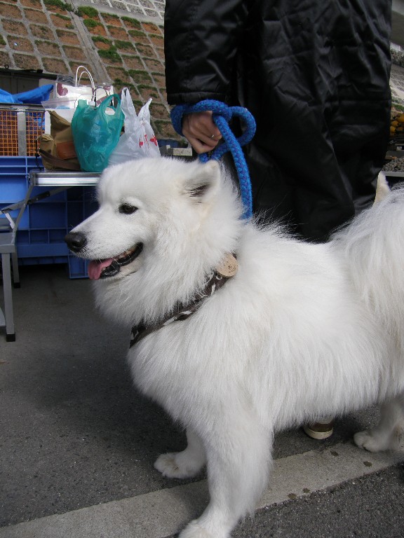 牡蠣オフ2008 その2_f0128542_3372211.jpg