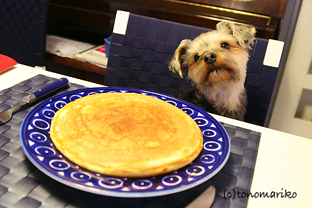 ホットケーキ、パクッ!!_c0024345_1573815.jpg