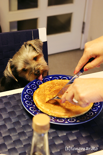 ホットケーキ、パクッ!!_c0024345_1582362.jpg