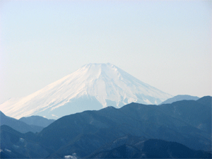 a0044453_20454424.gif