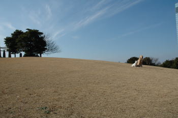 f0118263_23424958.jpg
