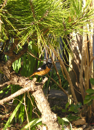e0052268_1385499.jpg