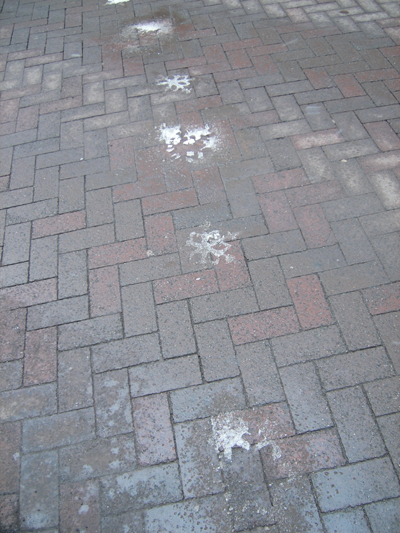 d0005370_1274384.jpg