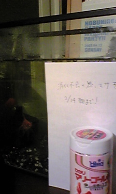 c0092371_22483378.jpg