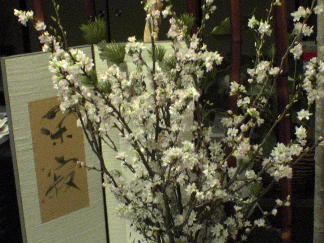 ひとあし早い春・桜_a0098174_22535670.jpg