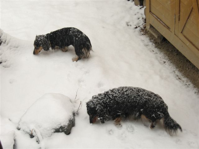 雪景色を姉妹で満喫～♪_d0143284_19144914.jpg