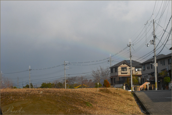 ◆夕陽と雨と虹_c0115293_17275156.jpg