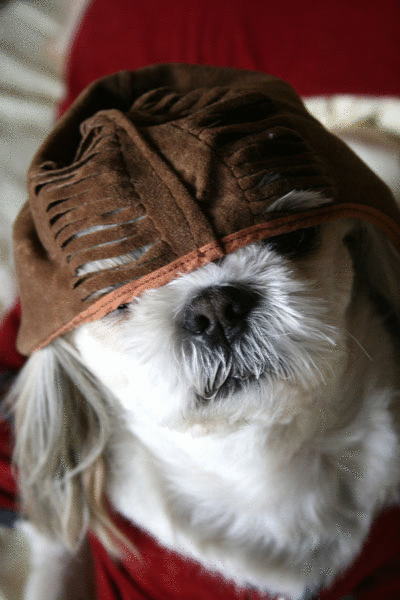 c0011204_23244224.gif