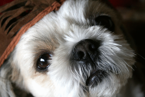 c0011204_2325986.gif