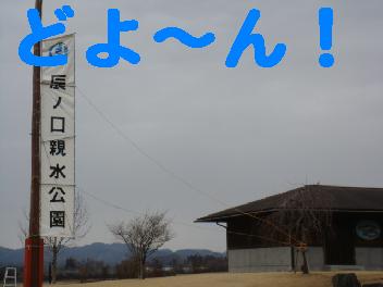 f0138304_914986.jpg