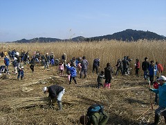 e0093407_183268.jpg