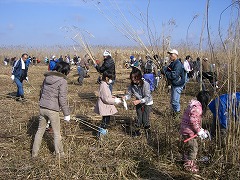 e0093407_1835430.jpg