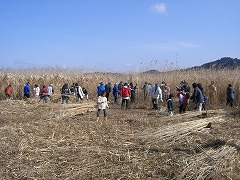 e0093407_1844381.jpg