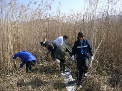e0093407_184828.jpg