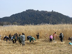 e0093407_185088.jpg