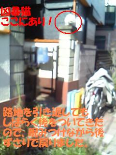 f0121712_23344447.jpg