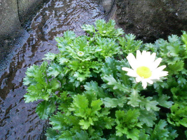 e0049015_20465954.jpg