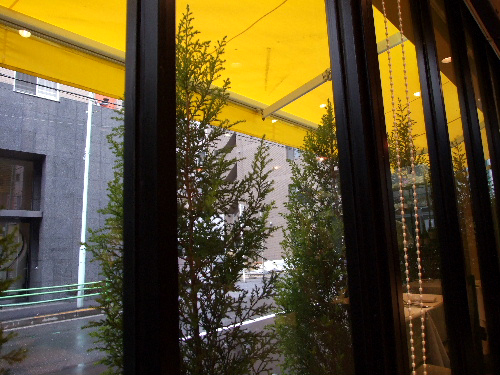 a0000029_1163630.jpg