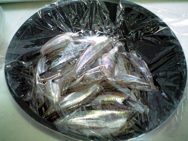 2007年 鰰!はたはた!ハタハタ寿司_a0016730_19112676.jpg