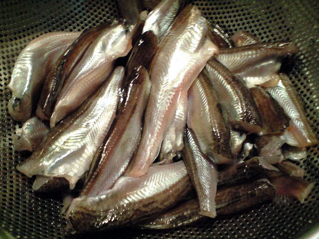 2007年 鰰!はたはた!ハタハタ寿司_a0016730_1912857.jpg