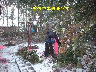 植木戦隊! ヨンレンジャー!_f0031037_2042515.jpg