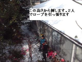 植木戦隊! ヨンレンジャー!_f0031037_20431587.jpg
