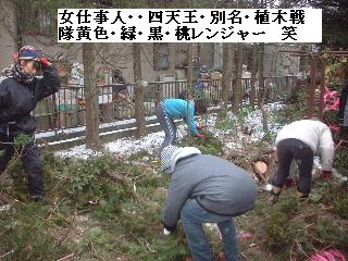 植木戦隊! ヨンレンジャー!_f0031037_20441044.jpg