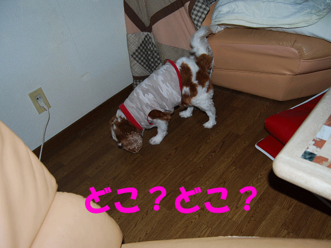 c0136838_22521228.gif