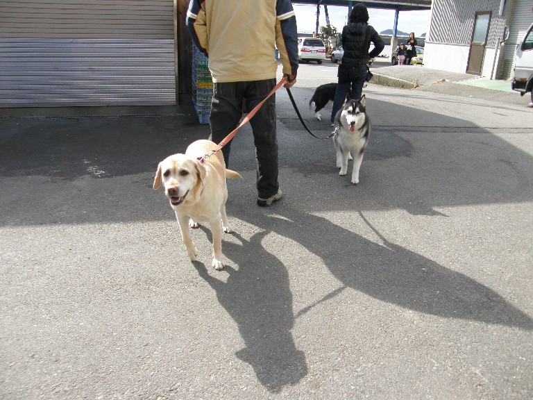 牡蠣オフ2008 その3_f0128542_23179.jpg