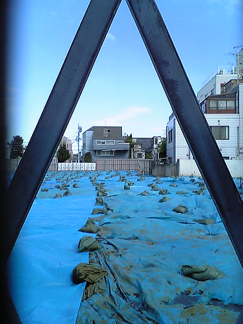 e0087443_2351237.jpg
