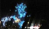 c0039153_03142.jpg