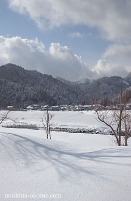 吹雪の合間の晴れ間_c0145453_20405885.jpg