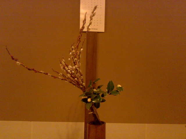 赤芽柳と椿のお生花 ふくみみ日記 赤芽柳と椿のお生花 ふくみみ日記