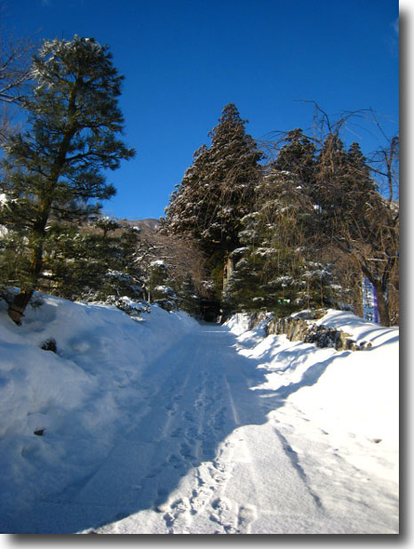 雪景色の光前寺_d0149663_1654547.jpg