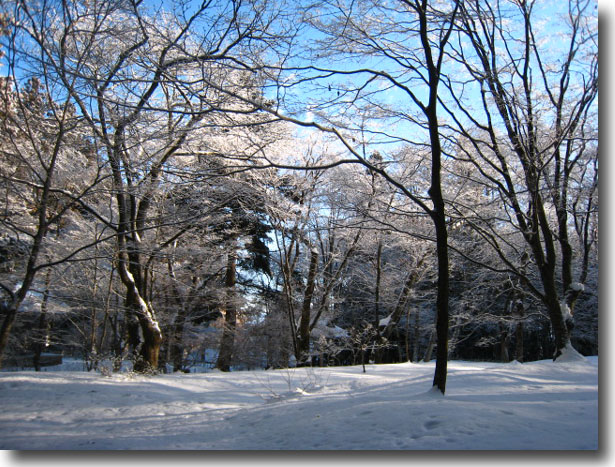 雪景色の光前寺_d0149663_1729873.jpg